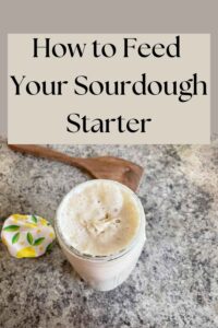 sourdough starter with wooden spoon