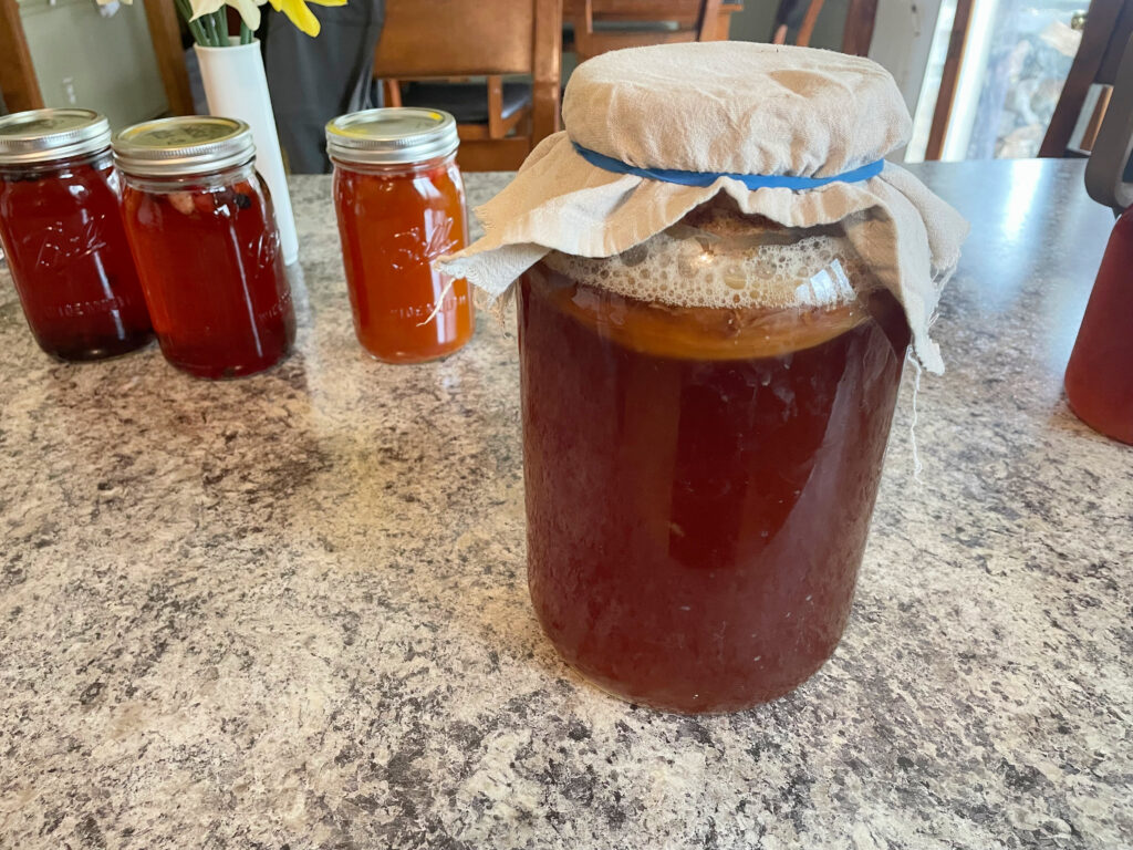 kombucha in jars on counter